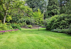 Optimiser l'expérience du jardin à Francillon